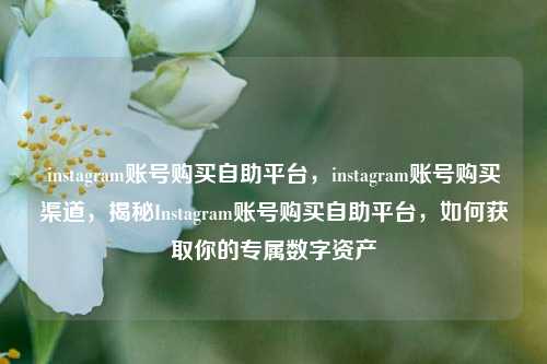 instagram账号购买自助平台，instagram账号购买渠道，揭秘Instagram账号购买自助平台，如何获取你的专属数字资产