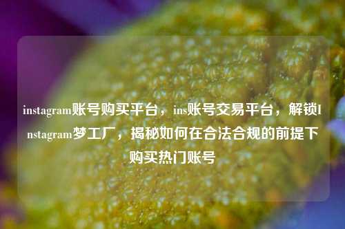instagram账号购买平台，ins账号交易平台，解锁Instagram梦工厂，揭秘如何在合法合规的前提下购买热门账号
