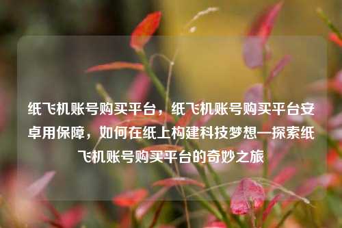 纸飞机账号购买平台，纸飞机账号购买平台安卓用保障，如何在纸上构建科技梦想—探索纸飞机账号购买平台的奇妙之旅