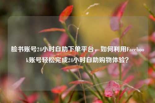 脸书账号24小时自助下单平台，如何利用Facebook账号轻松完成24小时自助购物体验？