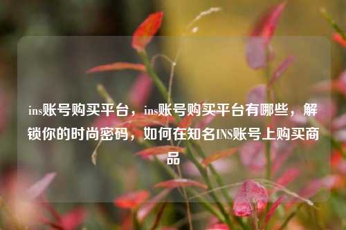 ins账号购买平台，ins账号购买平台有哪些，解锁你的时尚密码，如何在知名INS账号上购买商品
