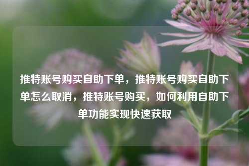 推特账号购买自助下单，推特账号购买自助下单怎么取消，推特账号购买，如何利用自助下单功能实现快速获取