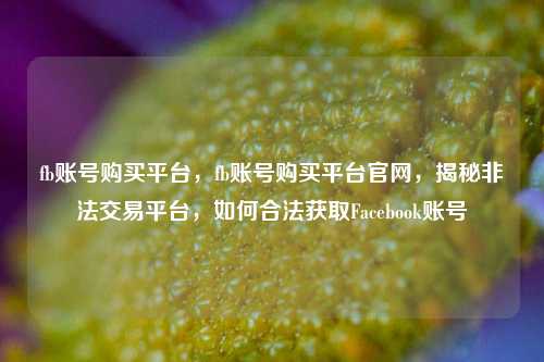 fb账号购买平台，fb账号购买平台官网，揭秘非法交易平台	，如何合法获取Facebook账号  第1张