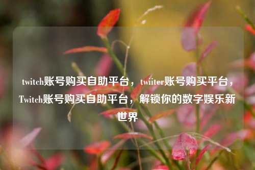 twitch账号购买自助平台，twiiter账号购买平台，Twitch账号购买自助平台，解锁你的数字娱乐新世界
