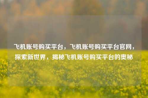 飞机账号购买平台，飞机账号购买平台官网，探索新世界，揭秘飞机账号购买平台的奥秘