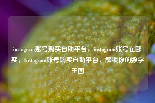 instagram账号购买自助平台，instagram账号在哪买，Instagram账号购买自助平台，解锁你的数字王国