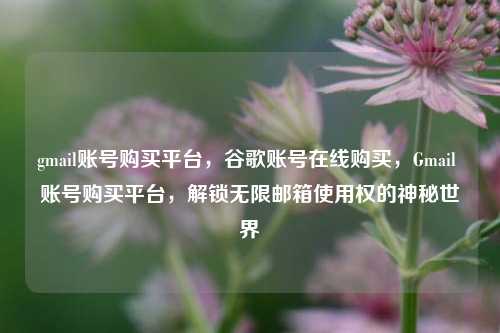 gmail账号购买平台，谷歌账号在线购买，Gmail 账号购买平台，解锁无限邮箱使用权的神秘世界