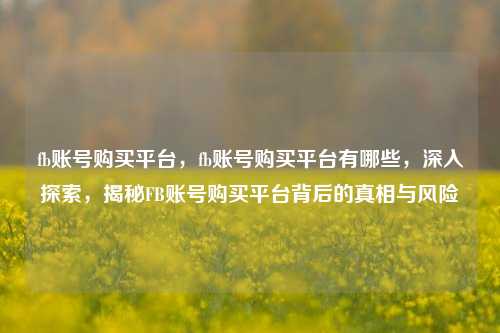 fb账号购买平台，fb账号购买平台有哪些，深入探索，揭秘FB账号购买平台背后的真相与风险