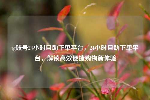 tg账号24小时自助下单平台，24小时自助下单平台，解锁高效便捷购物新体验