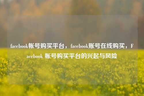 facebook帐号购买平台，facebook账号在线购买，Facebook 帐号购买平台的兴起与风险