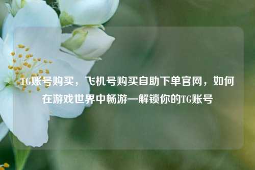 TG账号购买，飞机号购买自助下单官网，如何在游戏世界中畅游—解锁你的TG账号