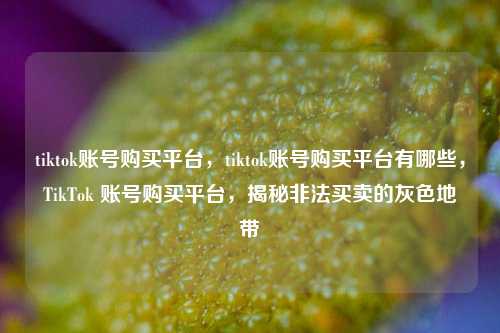 tiktok账号购买平台，tiktok账号购买平台有哪些，TikTok 账号购买平台，揭秘非法买卖的灰色地带
