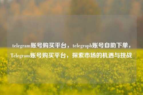 telegram账号购买平台，telegraph账号自助下单，Telegram账号购买平台，探索市场的机遇与挑战