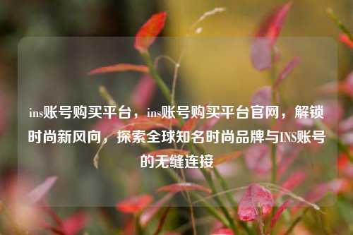 ins账号购买平台，ins账号购买平台官网，解锁时尚新风向，探索全球知名时尚品牌与INS账号的无缝连接