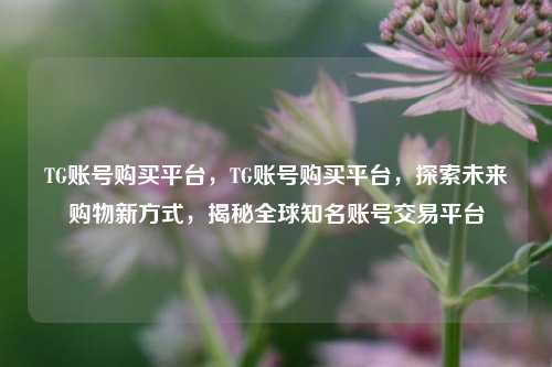TG账号购买平台，TG账号购买平台，探索未来购物新方式，揭秘全球知名账号交易平台