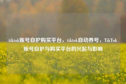 tiktok账号自护购买平台	，tiktok自动养号，TikTok账号自护与购买平台的兴起与影响  第1张