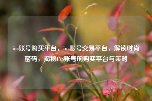 ins账号购买平台，ins账号交易平台，解锁时尚密码，揭秘INS账号的购买平台与策略
