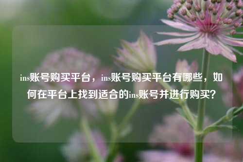 ins账号购买平台，ins账号购买平台有哪些，如何在平台上找到适合的ins账号并进行购买？