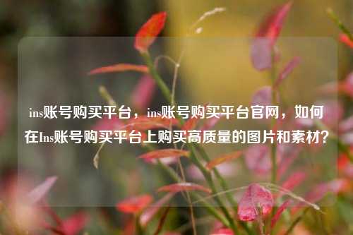 ins账号购买平台，ins账号购买平台官网，如何在Ins账号购买平台上购买高质量的图片和素材？