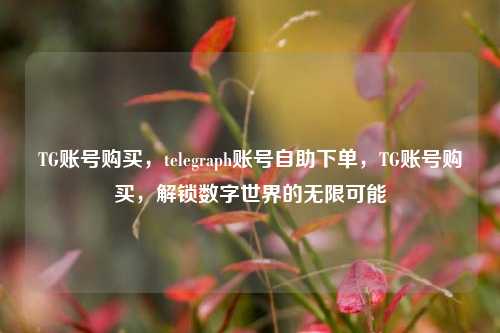 TG账号购买，telegraph账号自助下单，TG账号购买，解锁数字世界的无限可能