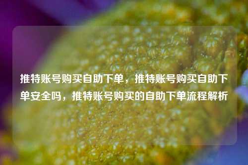 推特账号购买自助下单，推特账号购买自助下单安全吗，推特账号购买的自助下单流程解析
