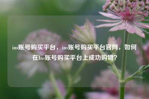ins账号购买平台，ins账号购买平台官网，如何在Ins账号购买平台上成功购物？