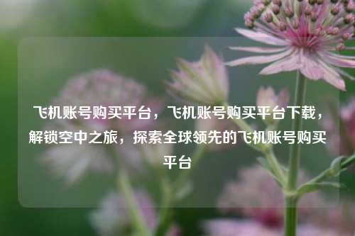 飞机账号购买平台，飞机账号购买平台下载，解锁空中之旅，探索全球领先的飞机账号购买平台
