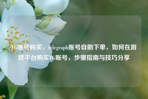 TG账号购买，telegraph账号自助下单，如何在游戏平台购买TG账号，步骤指南与技巧分享