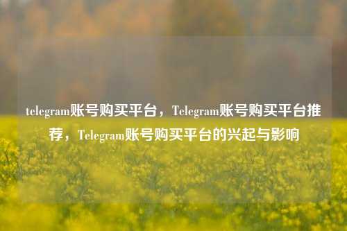 telegram账号购买平台，Telegram账号购买平台推荐，Telegram账号购买平台的兴起与影响