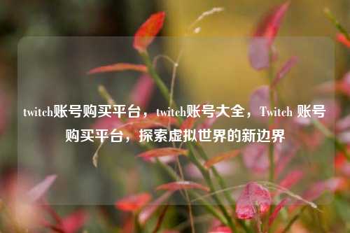 twitch账号购买平台，twitch账号大全，Twitch 账号购买平台，探索虚拟世界的新边界