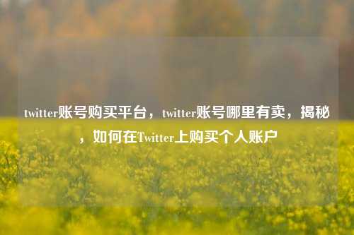 twitter账号购买平台，twitter账号哪里有卖，揭秘，如何在Twitter上购买个人账户