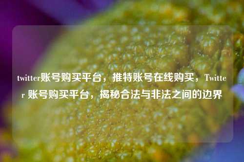 twitter账号购买平台，推特账号在线购买，Twitter 账号购买平台，揭秘合法与非法之间的边界