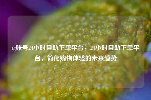 tg账号24小时自助下单平台，24小时自助下单平台，简化购物体验的未来趋势
