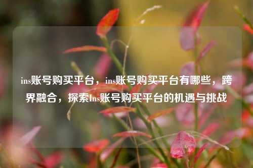 ins账号购买平台，ins账号购买平台有哪些，跨界融合，探索Ins账号购买平台的机遇与挑战