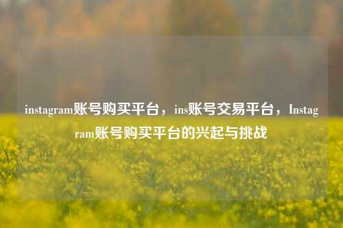 instagram账号购买平台，ins账号交易平台，Instagram账号购买平台的兴起与挑战  第1张