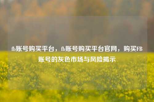 fb账号购买平台，fb账号购买平台官网，购买FB账号的灰色市场与风险揭示