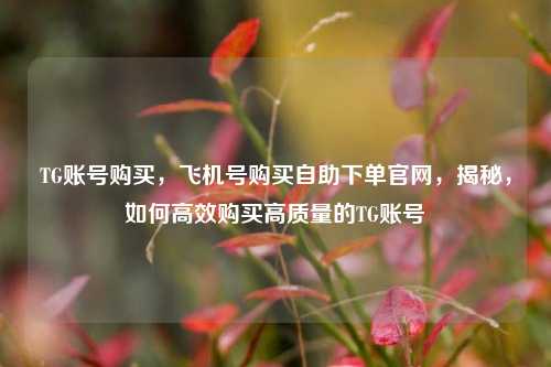 TG账号购买，飞机号购买自助下单官网，揭秘，如何高效购买高质量的TG账号