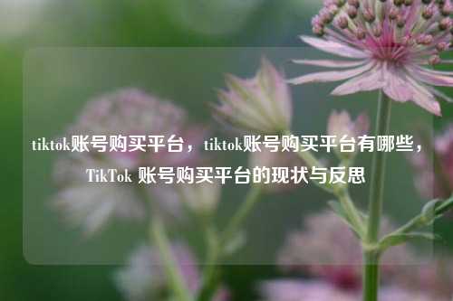 tiktok账号购买平台，tiktok账号购买平台有哪些，TikTok 账号购买平台的现状与反思