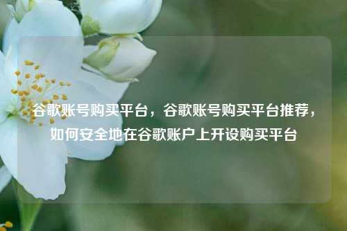 谷歌账号购买平台，谷歌账号购买平台推荐，如何安全地在谷歌账户上开设购买平台