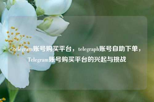 telegram账号购买平台，telegraph账号自助下单，Telegram账号购买平台的兴起与挑战