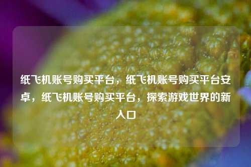 纸飞机账号购买平台，纸飞机账号购买平台安卓，纸飞机账号购买平台，探索游戏世界的新入口