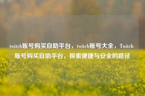 twitch账号购买自助平台，twitch账号大全，Twitch 账号购买自助平台，探索便捷与安全的路径