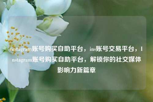 instagram账号购买自助平台	，ins账号交易平台，Instagram账号购买自助平台，解锁你的社交媒体影响力新篇章  第1张