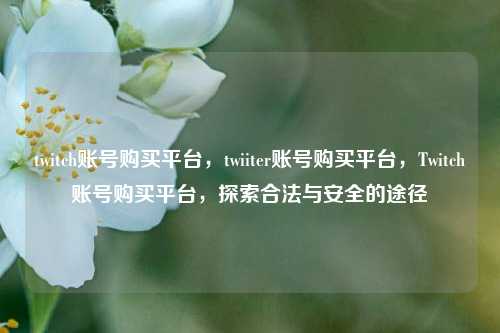 twitch账号购买平台，twiiter账号购买平台，Twitch账号购买平台，探索合法与安全的途径