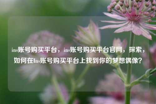 ins账号购买平台，ins账号购买平台官网，探索，如何在Ins账号购买平台上找到你的梦想偶像？