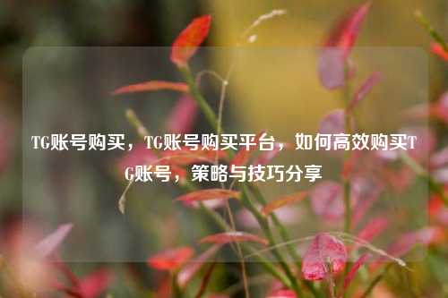 TG账号购买，TG账号购买平台，如何高效购买TG账号，策略与技巧分享