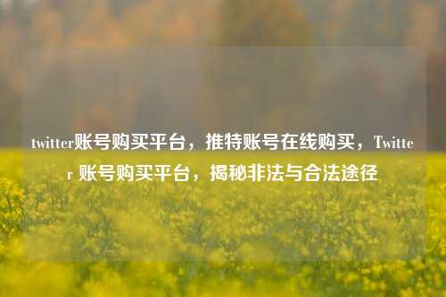 twitter账号购买平台，推特账号在线购买，Twitter 账号购买平台，揭秘非法与合法途径