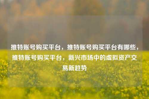 推特账号购买平台，推特账号购买平台有哪些，推特账号购买平台，新兴市场中的虚拟资产交易新趋势