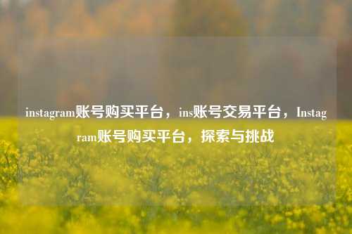instagram账号购买平台，ins账号交易平台，Instagram账号购买平台，探索与挑战