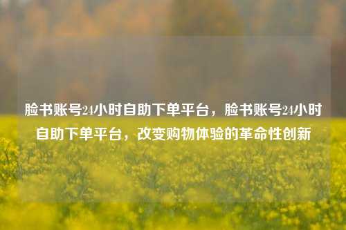 脸书账号24小时自助下单平台，脸书账号24小时自助下单平台，改变购物体验的革命性创新